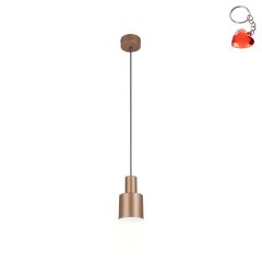 Lampa wisząca ELIOR DL165319400 Trio