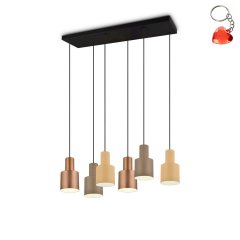 Lampa wisząca ELIOR DL617319400 Trio
