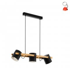 Lampa wisząca HORNWOOD 43045 Eglo