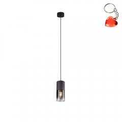Lampa wisząca ROBIN 310600132 Trio