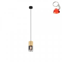 Lampa wisząca ROBIN 310600154 Trio