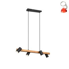 Lampa wisząca z reflektorkami VANTOS DL432312490 Trio