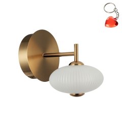 Kinkiet LED 5W NICO WL-8545-1-BK-GD Italux