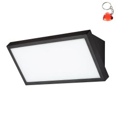 Lampa natynkowa ścienna LED 18W RAPLA2 77150 Rabalux