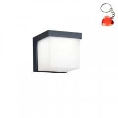 Lampa natynkowa ścienna LED 3,5W YANGTZE 228260142 Trio