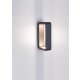 Lampa natynkowa ścienna LED 6W CANUELAS LE71332 Luces Exclusivas
