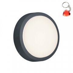 Lampa natynkowa ścienna LED 8,5W BREG 227260142 Trio