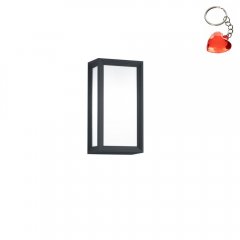 Lampa natynkowa ścienna TIMOK 228060142 Trio