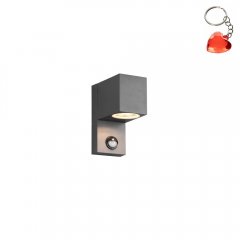 Lampa natynkowa ścienna z czujnikiem ruchu ROYA 214269142 Trio