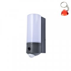 Lampa solarna natynkowa ścienna LED 19W z kamerą POLLUX 5196004118 Lutec
