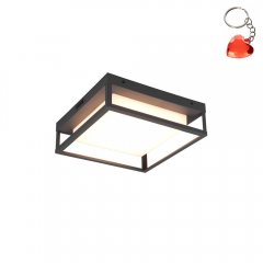 Lampa zewnętrzna sufitowo-ścienna LED 14W WITHAM 677860142 Trio