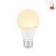 Żarówka E27 LED 9W 810lm 3000K WW LED BULB 10600 Globo