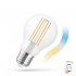 Żarówka LED GLS 5W E27 CCT COG Smart WOJ+14418 Spectrum