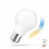 Żarówka LED GLS 5W E27 CCT COG Smart WOJ+14419 Spectrum