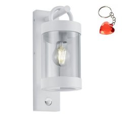 Kinkiet zewnętrzny z czujnikiem CUSTYRA DL131204169 Trio