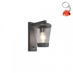 Kinkiet zewnętrzny z czujnikiem ruchu CAVADO 211069142 Trio