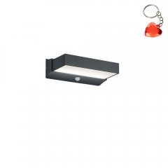 Kinkiet zewnętrzny z czujnikiem ruchu LED 11W CUANDO 226669242 Trio