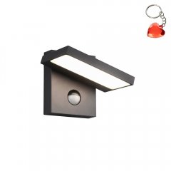 Kinkiet zewnętrzny z czujnikiem ruchu LED 8W HORTON 226369142 Trio