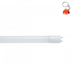 Świetlówka LED G13 T8 9W NW SMD 1566 Rabalux