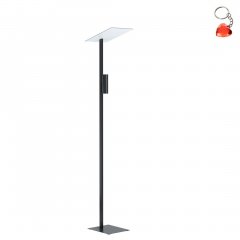 Lampa podłogowa BUDENSEA 99113 Eglo