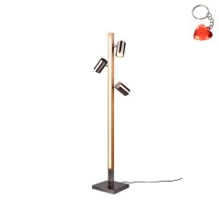 Lampa podłogowa LED 20W VANTOS DL407412510 Trio