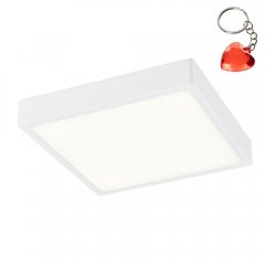 Plafon LED 15W ALENA 12365-15 Globo
