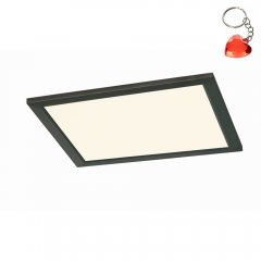 Plafon LED 15W PHOENIX 674013032 Trio