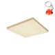 Plafon LED 24W CCT DORO 41594D2M Globo
