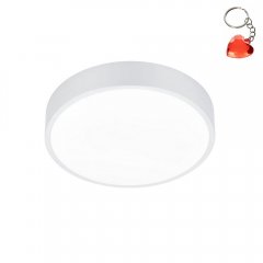 Plafon LED 28W WACO 627413031 Trio