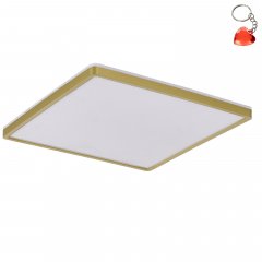 Plafon LED 50W COLIS MS748400S-3-GD Zuma Line