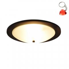 Plafon PALI 612600256 Trio