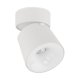 Oprawa natynkowa reflektor spot LED 7W CCT KYOTO WHITE 18153 TK Lighting
