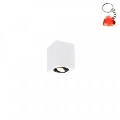 Oprawa natynkowa spot BISCUIT 613000134 Trio