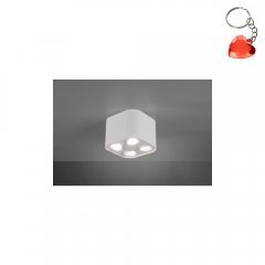 Oprawa natynkowa spot COOKIE 612900431 Trio