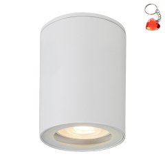 Oprawa natynkowa spot KOVEN 71343 Rabalux