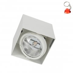 Oprawa natynkowa spot PLAZA ML4743 Milagro