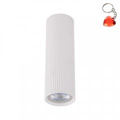 Oprawa natynkowa spot TUNE WHITE 10025 TK Lighting