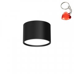 Oprawa natynkowa spot typu DOWNLIGHT 1361 Luminex