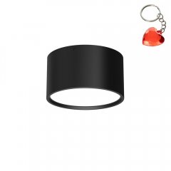 Oprawa natynkowa spot typu DOWNLIGHT 1362 Luminex