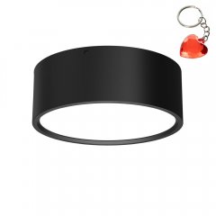 Oprawa natynkowa spot typu DOWNLIGHT 1364 Luminex