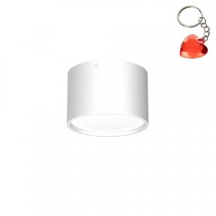 Oprawa natynkowa spot typu DOWNLIGHT 1365 Luminex