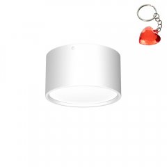 Oprawa natynkowa spot typu DOWNLIGHT 1366 Luminex