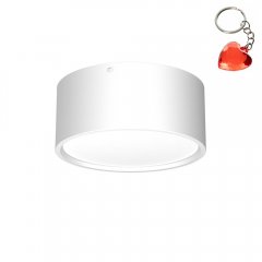 Oprawa natynkowa spot typu DOWNLIGHT 1367 Luminex