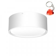 Oprawa natynkowa spot typu DOWNLIGHT 1368 Luminex