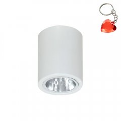 Oprawa natynkowa spot typu DOWNLIGHT 7234 Luminex