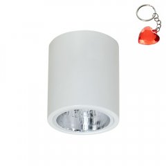 Oprawa natynkowa spot typu DOWNLIGHT 7236 Luminex