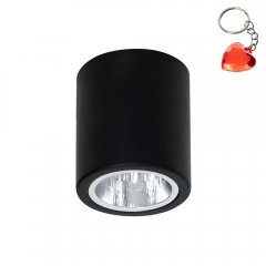 Oprawa natynkowa spot typu DOWNLIGHT 7237 Luminex