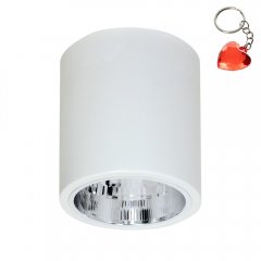 Oprawa natynkowa spot typu DOWNLIGHT 7238 Luminex