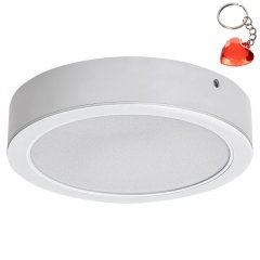 Oprawa natynkowa sufitowa LED 12W SHAUN 3171 Rabalux