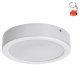 Oprawa natynkowa sufitowa LED 24W SHAUN2 71194 Rabalux
